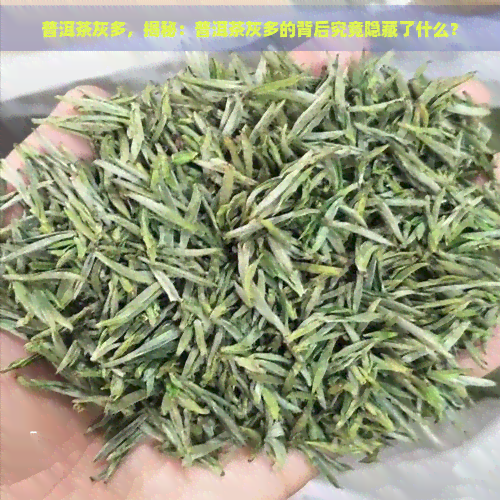 普洱茶灰多，揭秘：普洱茶灰多的背后究竟隐藏了什么？