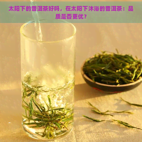 太阳下的普洱茶好吗，在太阳下沐浴的普洱茶：品质是否更优？