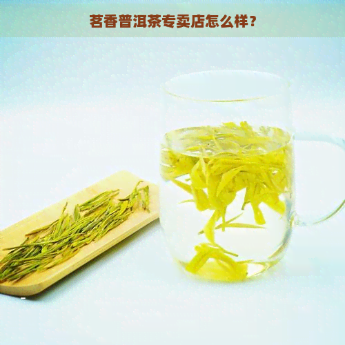 茗香普洱茶专卖店怎么样？