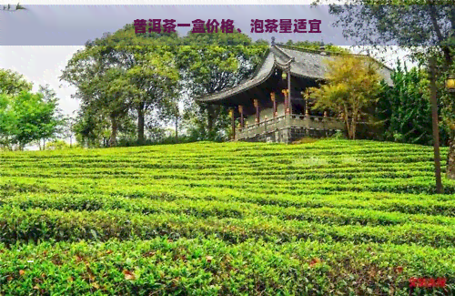 普洱茶一盒价格、泡茶量适宜