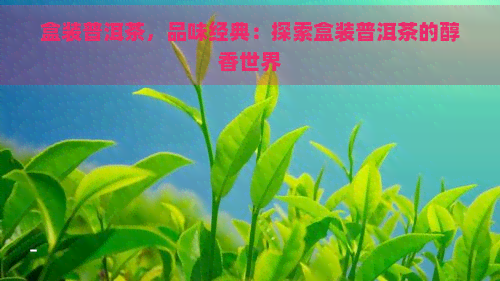 盒装普洱茶，品味经典：探索盒装普洱茶的醇香世界