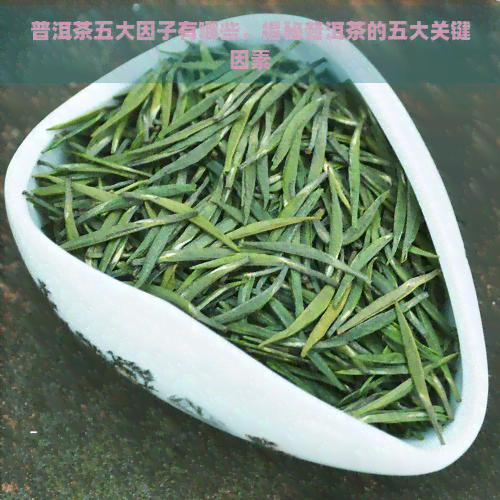 普洱茶五大因子有哪些，揭秘普洱茶的五大关键因素