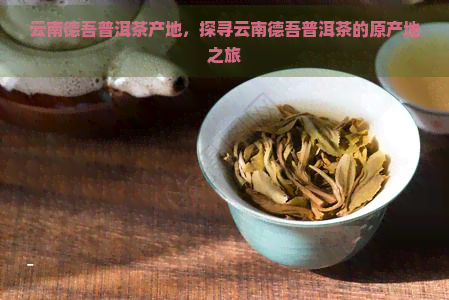 云南德吾普洱茶产地，探寻云南德吾普洱茶的原产地之旅