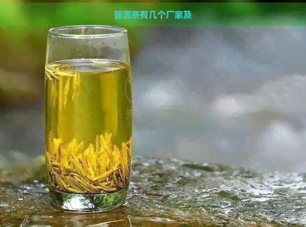 普洱茶有几个厂家及