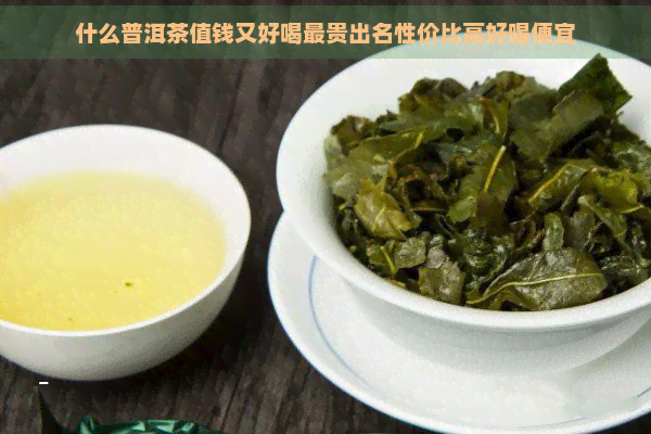 什么普洱茶值钱又好喝最贵出名性价比高好喝便宜