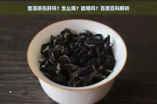 普洱茶伤肝吗？怎么喝？能喝吗？百度百科解析