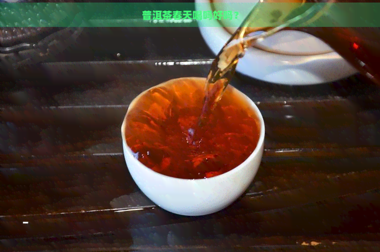 普洱茶春天喝吗好吗？