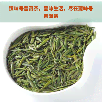 臻味号普洱茶，品味生活，尽在臻味号普洱茶