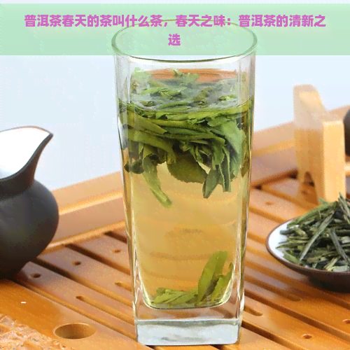 普洱茶春天的茶叫什么茶，春天之味：普洱茶的清新之选