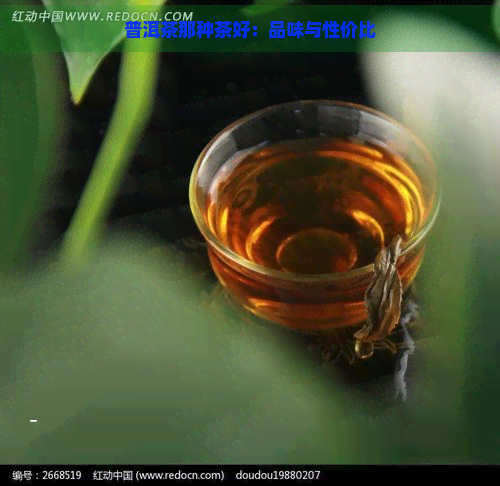 普洱茶那种茶好：品味与性价比