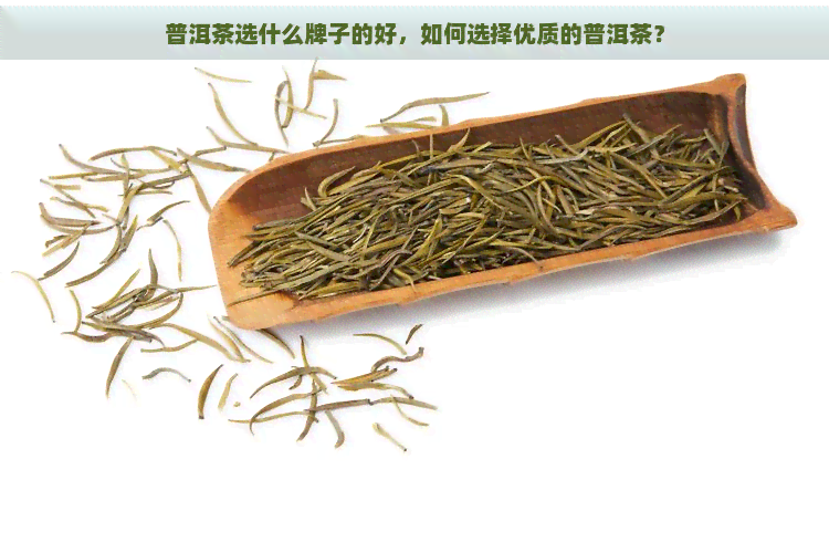 普洱茶选什么牌子的好，如何选择优质的普洱茶？