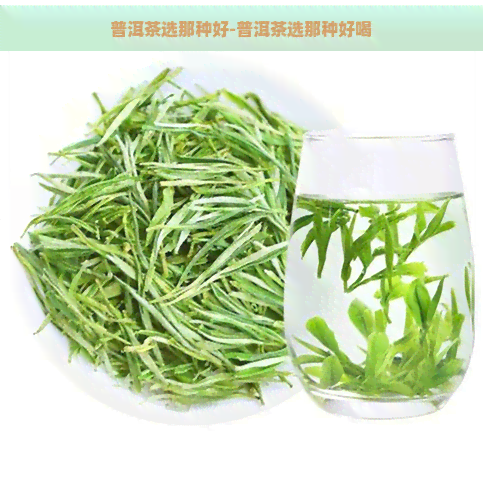 普洱茶选那种好-普洱茶选那种好喝