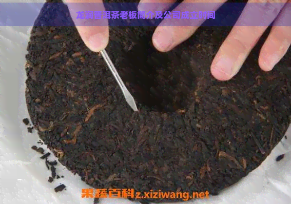 龙润普洱茶老板简介及公司成立时间