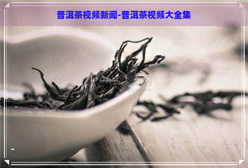 普洱茶视频新闻-普洱茶视频大全集