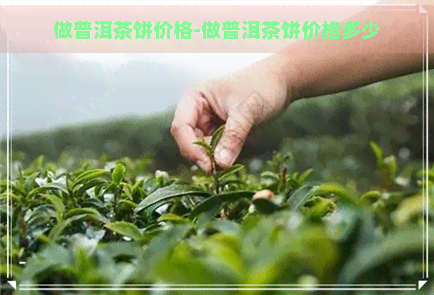 做普洱茶饼价格-做普洱茶饼价格多少