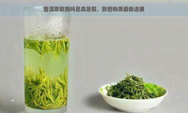 普洱茶致癌吗是真是假，致癌物质最新进展