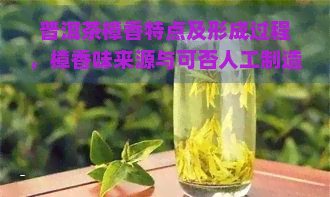 普洱茶樟香特点及形成过程，樟香味来源与可否人工制造