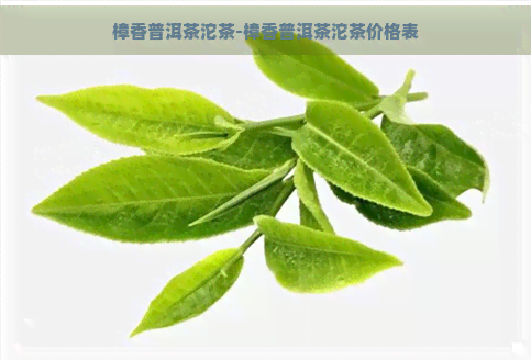 樟香普洱茶沱茶-樟香普洱茶沱茶价格表