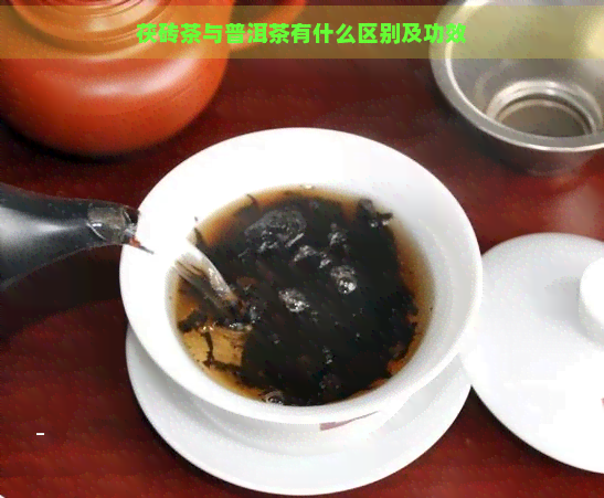 茯砖茶与普洱茶有什么区别及功效