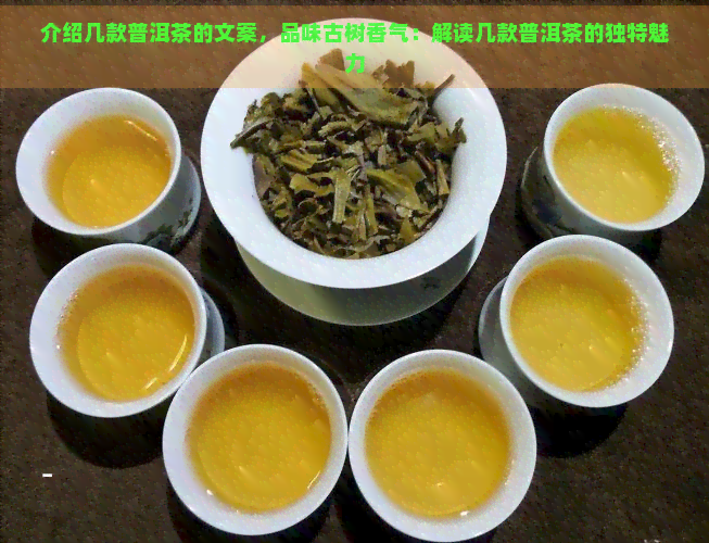 介绍几款普洱茶的文案，品味古树香气：解读几款普洱茶的独特魅力