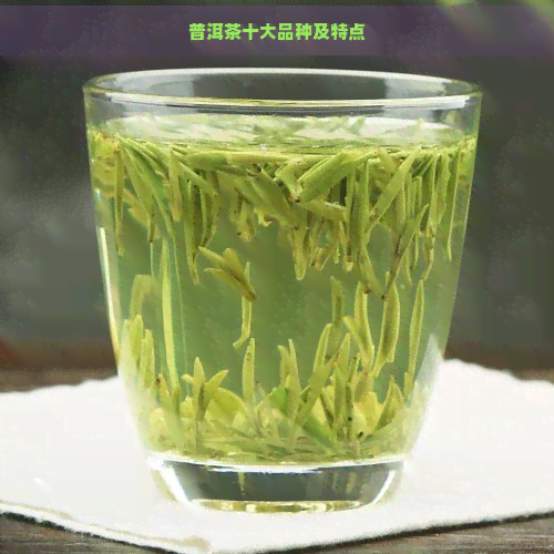 普洱茶十大品种及特点