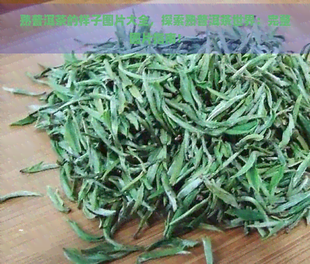 熟普洱茶的样子图片大全，探索熟普洱茶世界：完整图片指南！