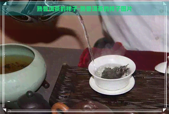 熟普洱茶的样子-熟普洱茶的样子图片