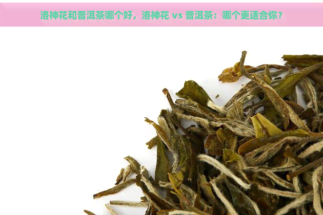 洛神花和普洱茶哪个好，洛神花 vs 普洱茶：哪个更适合你？