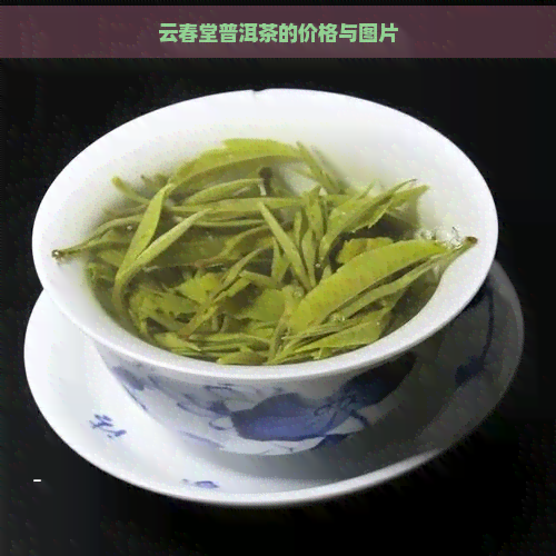 云春堂普洱茶的价格与图片