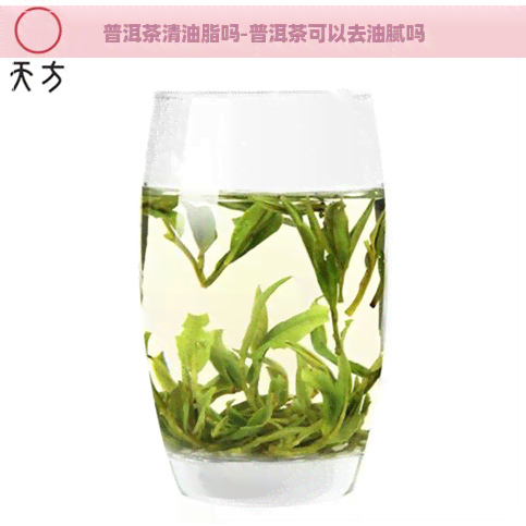 普洱茶清油脂吗-普洱茶可以去油腻吗