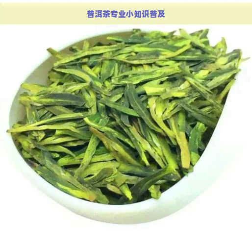 普洱茶专业小知识普及