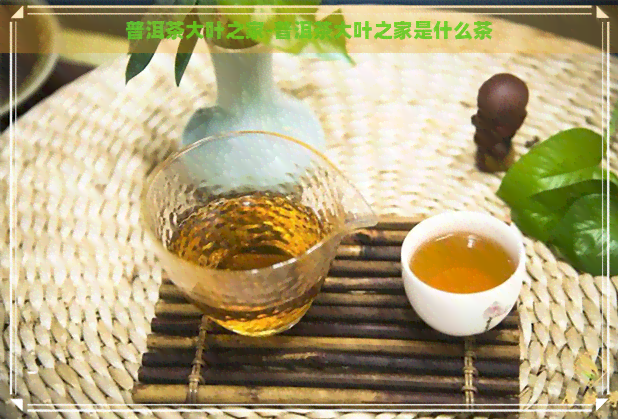 普洱茶大叶之家-普洱茶大叶之家是什么茶