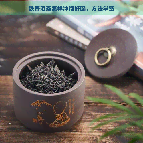 铁普洱茶怎样冲泡好喝，方法学费