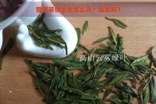 普洱茶饼长虫怎么办？能吃吗？