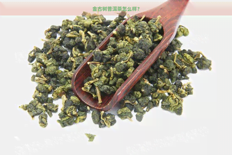 金古树普洱茶怎么样？