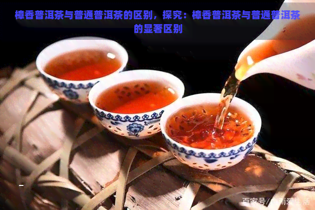 樟香普洱茶与普通普洱茶的区别，探究：樟香普洱茶与普通普洱茶的显著区别