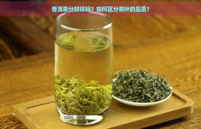 普洱茶分好坏吗？如何区分茶叶的品质？