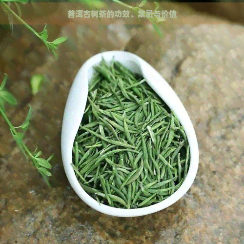 普洱古树茶的功效、禁忌与价值