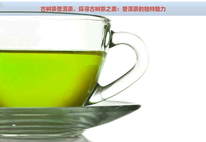 古树茶普洱茶，探寻古树茶之美：普洱茶的独特魅力