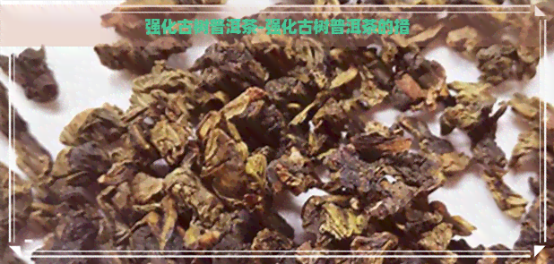 强化古树普洱茶-强化古树普洱茶的措