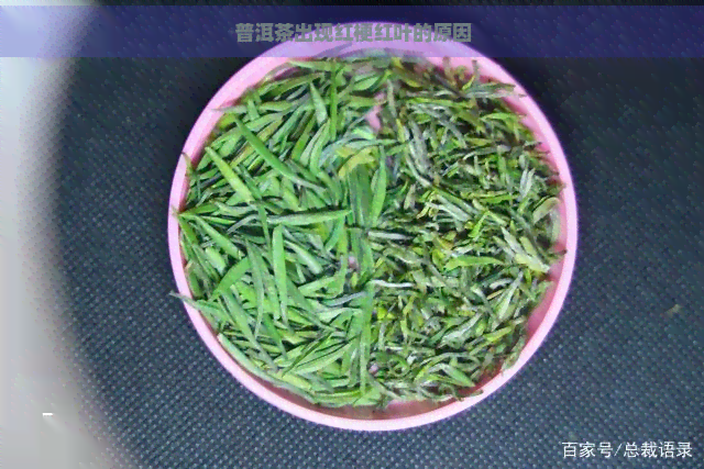 普洱茶出现红梗红叶的原因