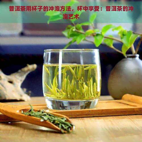 普洱茶用杯子的冲泡方法，杯中享受：普洱茶的冲泡艺术