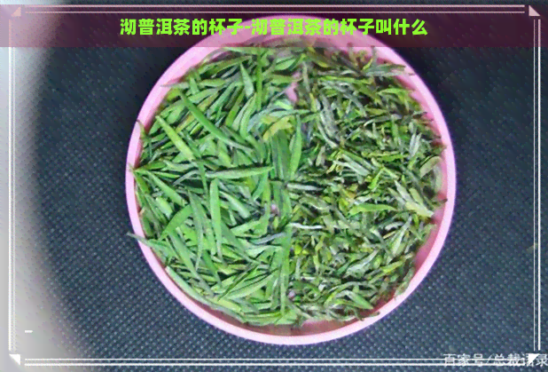 沏普洱茶的杯子-沏普洱茶的杯子叫什么