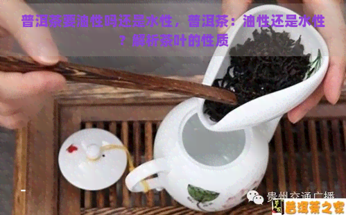 普洱茶要油性吗还是水性，普洱茶：油性还是水性？解析茶叶的性质