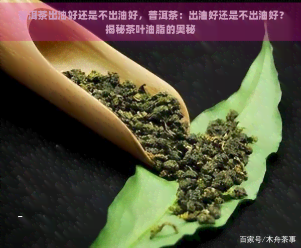 普洱茶出油好还是不出油好，普洱茶：出油好还是不出油好？揭秘茶叶油脂的奥秘