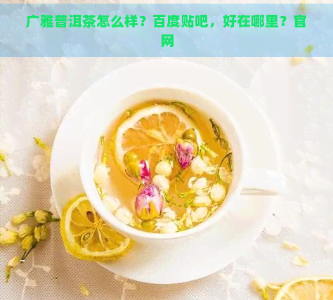 广雅普洱茶怎么样？百度贴吧，好在哪里？官网