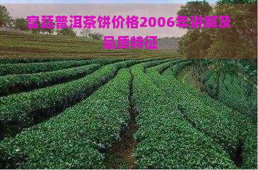 宫廷普洱茶饼价格2006年讲解及品质特征