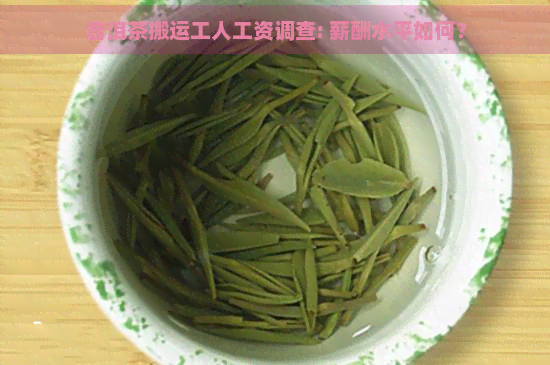 普洱茶搬运工人工资调查: 薪酬水平如何？