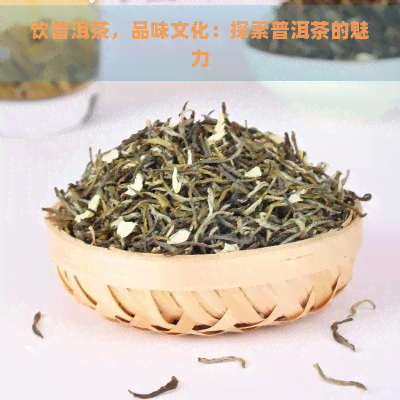 饮普洱茶，品味文化：探索普洱茶的魅力