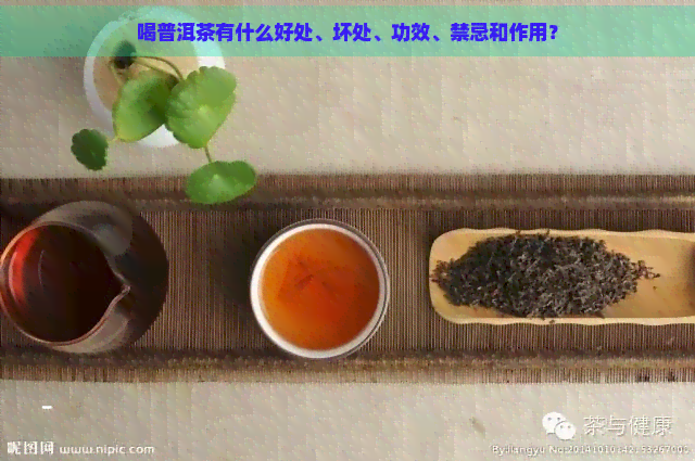 喝普洱茶有什么好处、坏处、功效、禁忌和作用？